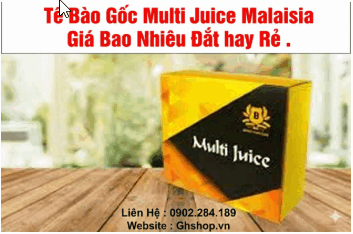 Giá Tế Báo Gốc Multi Juice Malaisia Các Thành Phần Và Tác Dụng
